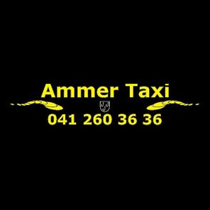 Ämmer Taxi Inh. Yvonne Banz