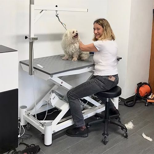 Flavia's Hundesalon