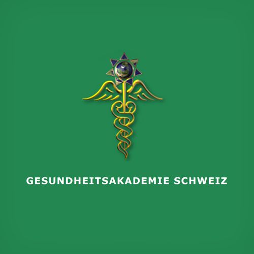 Gesundheitsakademie Schweiz Gesundheitsakademie Schweiz
