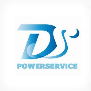 DS Powerservice