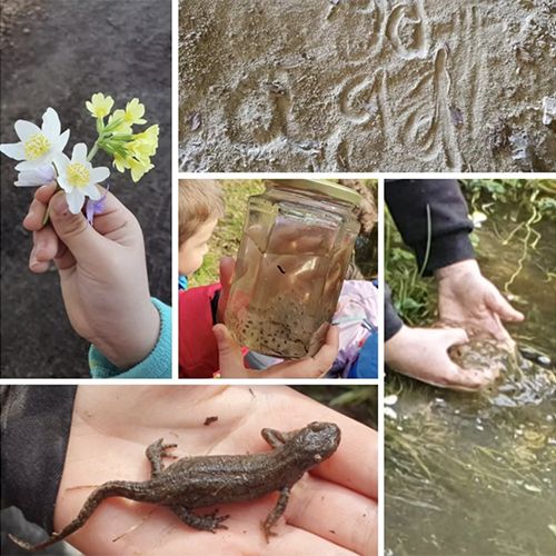 Privatschule Sonnenweg GmbH